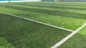 grass 01
