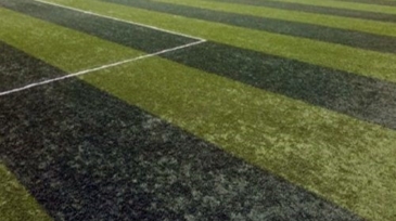 grass 02