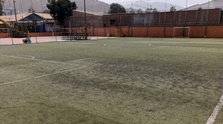 grass 03